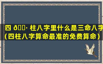 四 🕷 柱八字里什么是三命八字（四柱八字算命最准的免费算命）
